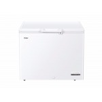 Congelatore a Pozzetto Orizzontale Capacità 300 Litri Classe E Larghezza 111 cm colore Bianco Haier HCE301E 