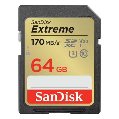 Scheda SD 64GB EXTREME Sandisk SDSDXV2 064G GNCIN